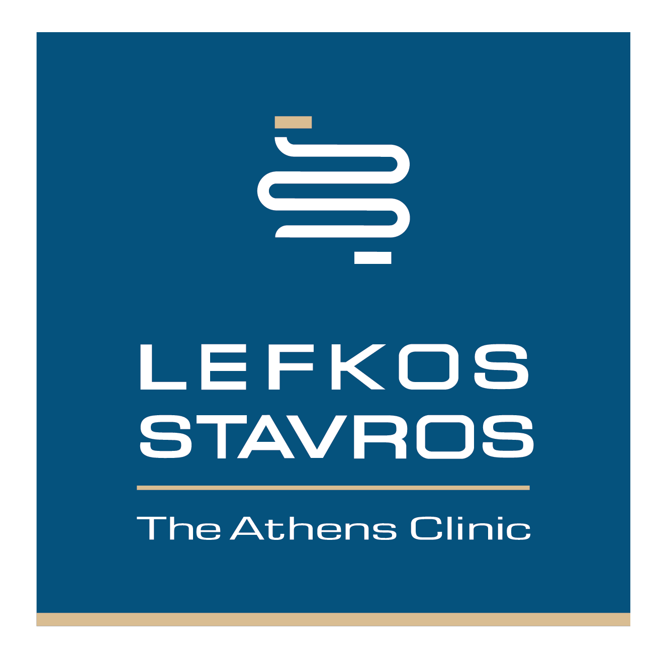 ΛΕΥΚΟΣ ΣΤΑΥΡΟΣ ΛΟΓΟΤΥΠΟ